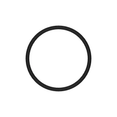Caterpillar 28.3mm İç Çapı O-Ring Seal — açılı görünüm