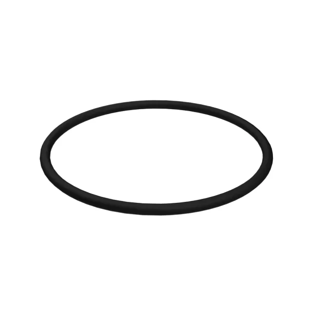 55mm Inner Diameter O-Ring Seal