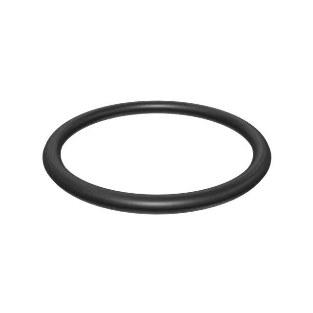 21.95mm İç Çapı O-Ring Seal