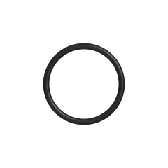 Caterpillar 21.95mm İç Çapı O-Ring Seal — açılı görünüm