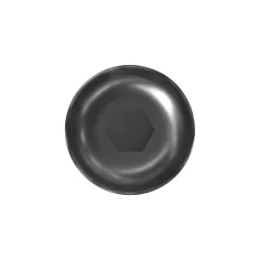 Caterpillar 3/8"-16 x 1" Rounded Pan Head Internal Hex Vida — açılı görünüm