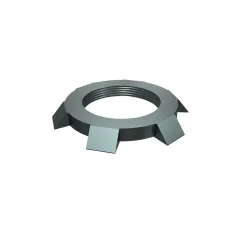 Caterpillar 1''-11 1/2 Conduit Lock Somun