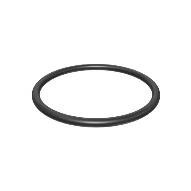 29.7mm İç Çapı O-Ring Seal