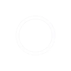 Caterpillar 21mm İç Çapı Backup Ring — açılı görünüm