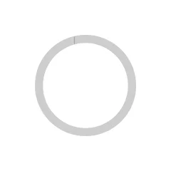 Caterpillar 22mm Inner Diameter Backup Ring — three-quarter view