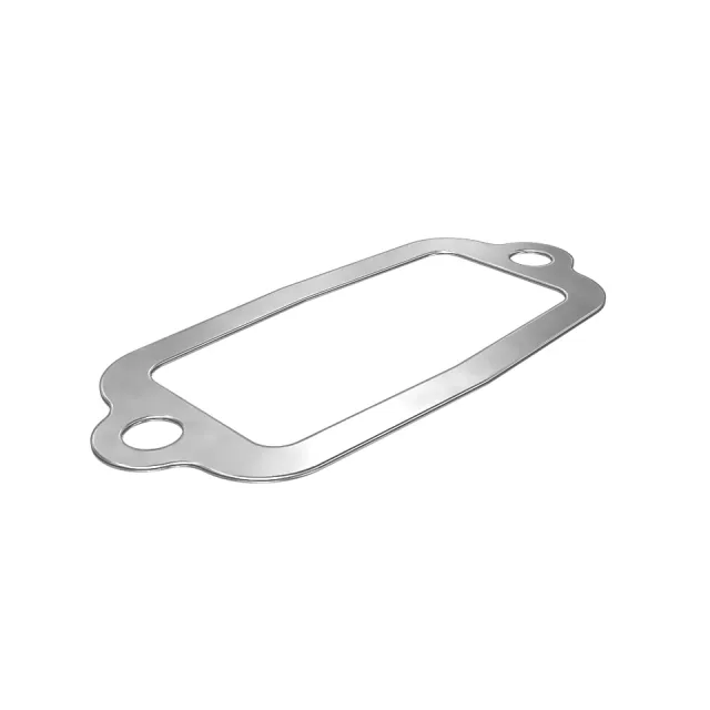 0.8mmSa Water Pump Seal Gasket