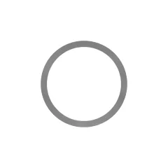 Caterpillar RING-BACKUP — açılı görünüm