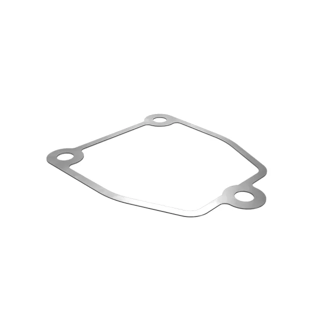 Accessory Drive Cover Gasket