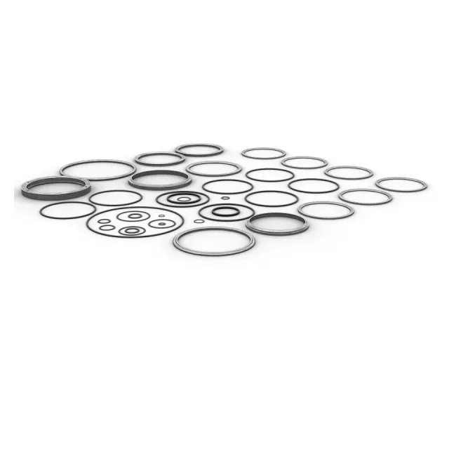 Check Valve Seal Kit