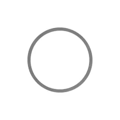 Caterpillar 36.08mm Inner Diameter DICHTUNG RING — Dreiviertelansicht