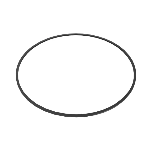 297.69mm Internal Diameter Rubber DICHTUNG RING