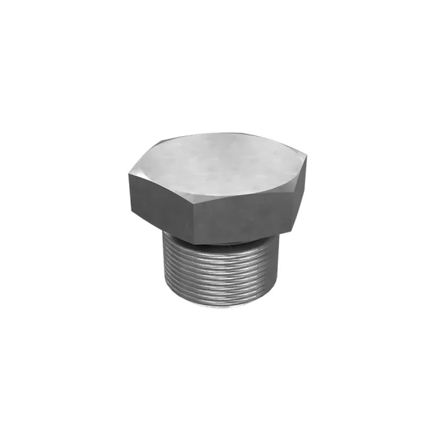 Hexagonal Head Plug
