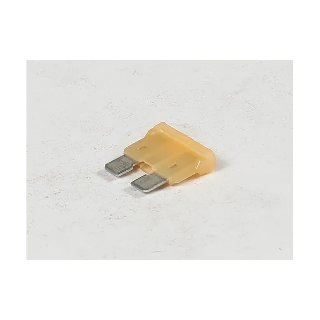 25 Ampere Fuse