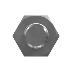 Caterpillar 5/8" Check Valve — three-quarter view
