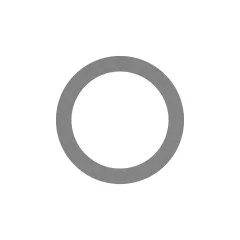 Caterpillar 1.6mm Thick Washer — three-quarter view