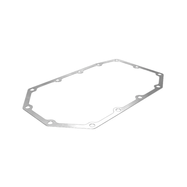 Engine Oil Pan Gasket