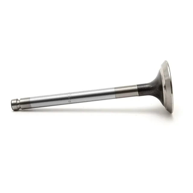 Silindir Head E egzoz Valve