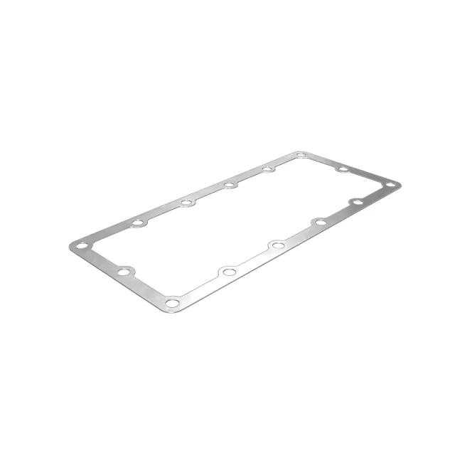 0.8mmBa Transmission Planetary Cover Gasket