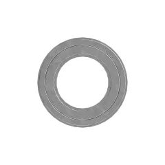 Caterpillar Needle Rulman — açılı görünüm
