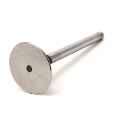 Caterpillar Engine Inlet Valve — açılı görünüm