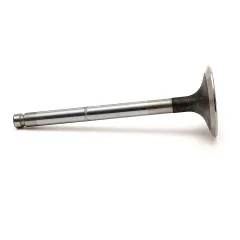 Caterpillar Engine Inlet Valve