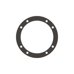 Caterpillar Transmission Planetary Thrust Disc — açılı görünüm