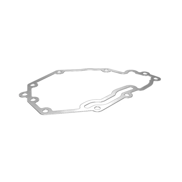 0.8mm Thick Governor Gasket