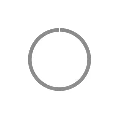 Caterpillar 63.50mm Internal Diameter Ring — three-quarter view