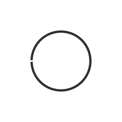 Caterpillar 101.60mm Internal Diameter Ring — açılı görünüm