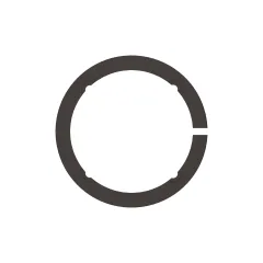 Caterpillar 5mm Thick Thrust Disc — açılı görünüm