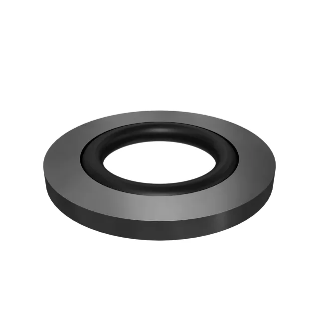 1.27mm Thick Sealing Washer