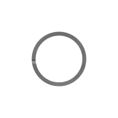 Caterpillar RING-BACKUP — Dreiviertelansicht