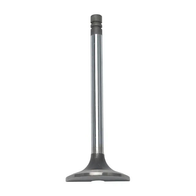 Silindir Head E egzoz Valve