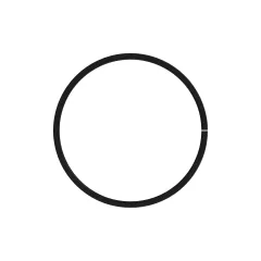 Caterpillar 137mm Gage Diameter Piston Intermediate Ring — three-quarter view