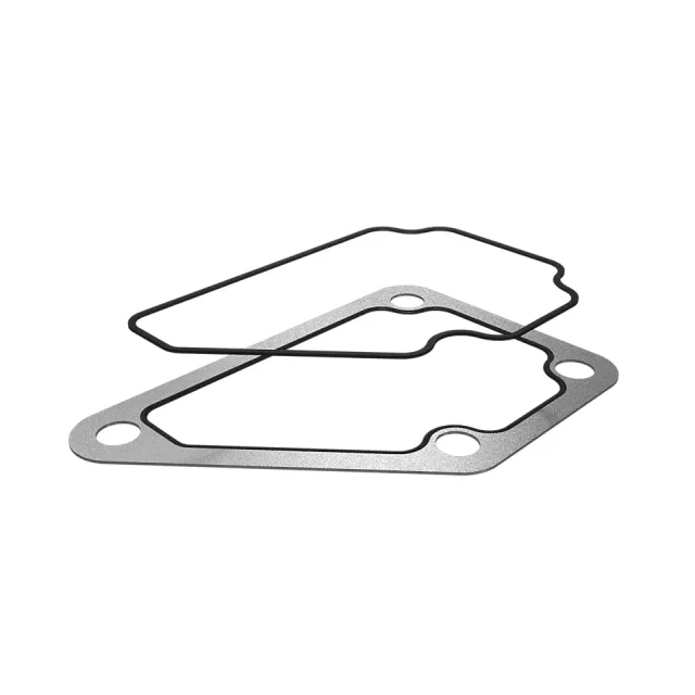 0.76mm Kalınlık Edge Bonded Seal Gasket