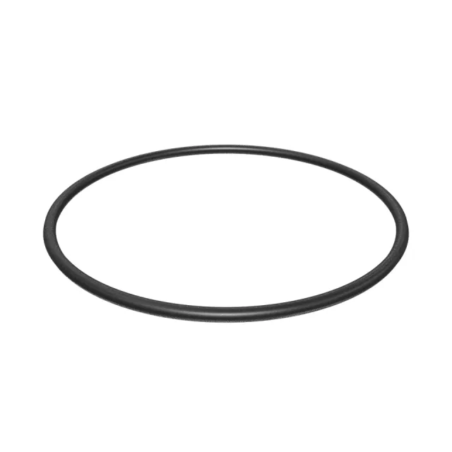 101.19mm Innendurchmesser Dichtung O-Ring
