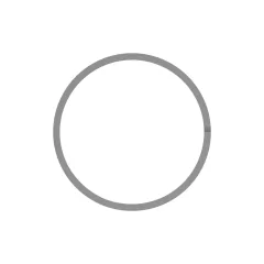 Caterpillar 34.7mm İç Parça Metal Ring Seal — açılı görünüm