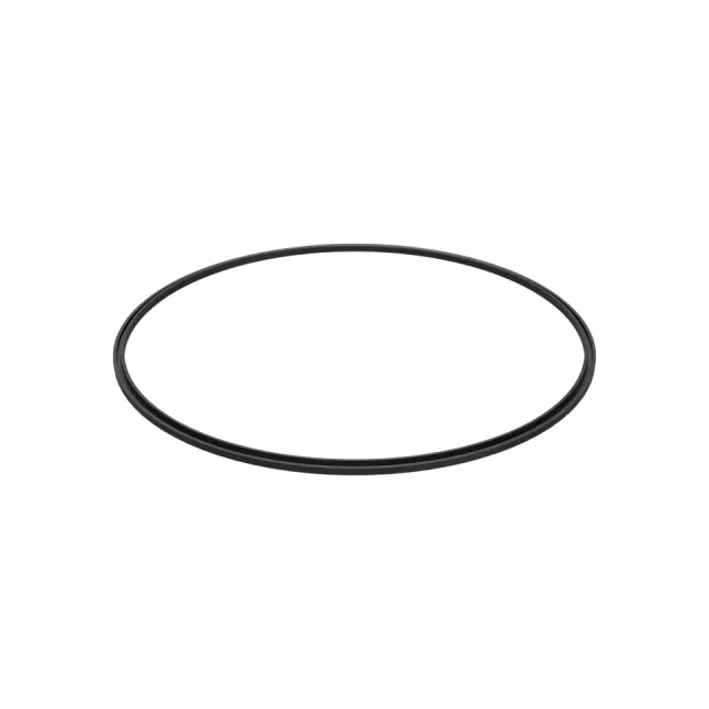 173.55mm Outer Diameter Internal Seal Ring