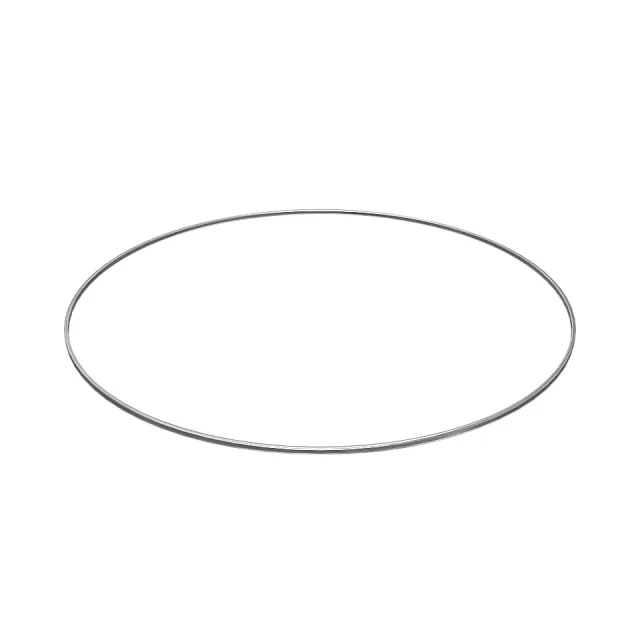 238.89mm Internal Diameter DICHTUNG RING