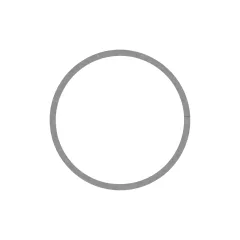 Caterpillar Metal KEÇE Ring — açılı görünüm
