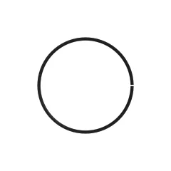 Caterpillar 75.30mm Gauge Diameter DICHTUNG RING — Dreiviertelansicht
