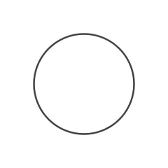 Caterpillar 243.75mm Internal Diameter Backup RING — Dreiviertelansicht