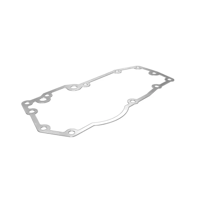 Drive Governor Gasket