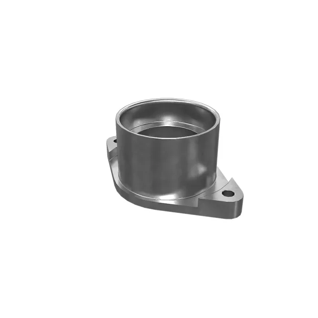 65mmKan İki Bolt Flange Adapt