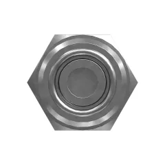 Caterpillar 13/16"UN Check Valve — vue de trois quarts