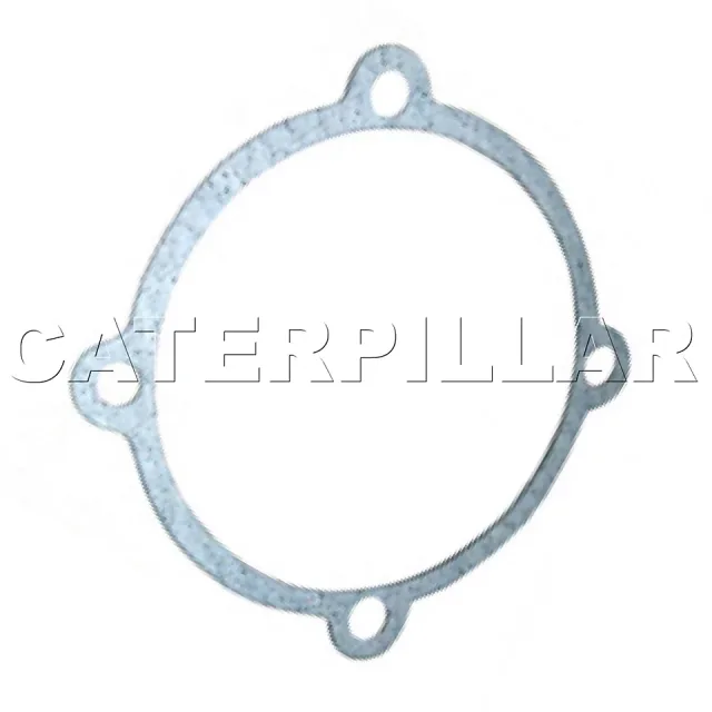 Water Pompa Yatak Gasket