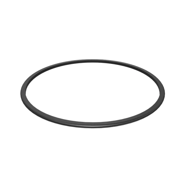 152.40mm İç Çapı D Ring Seal