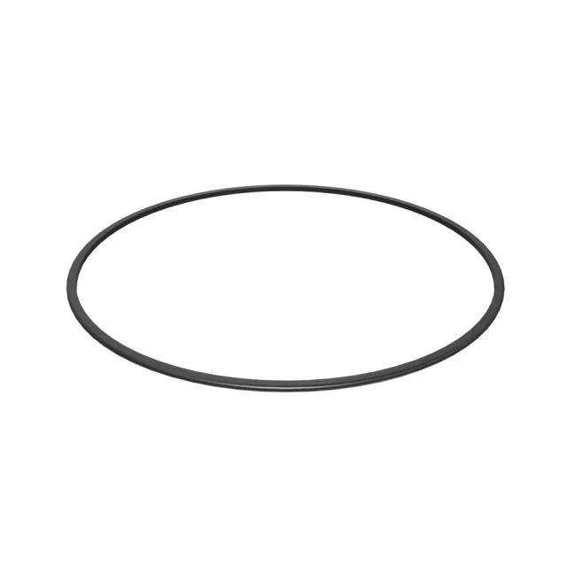 246.38mm İç Çapı D Ring Seal