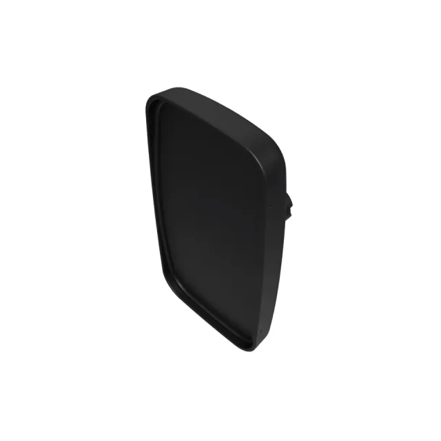 Rear View Mirror