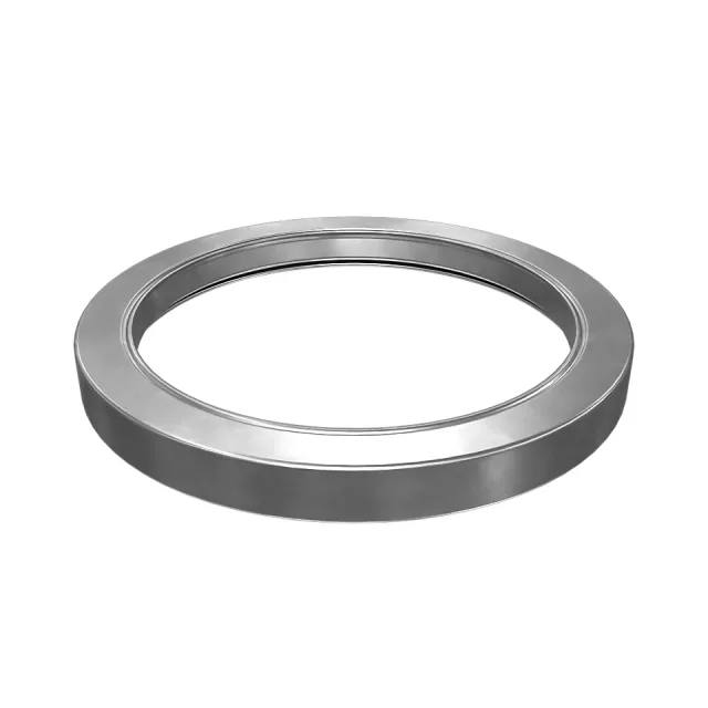 101.60mm Inner Diameter Lip Type DICHTUNG